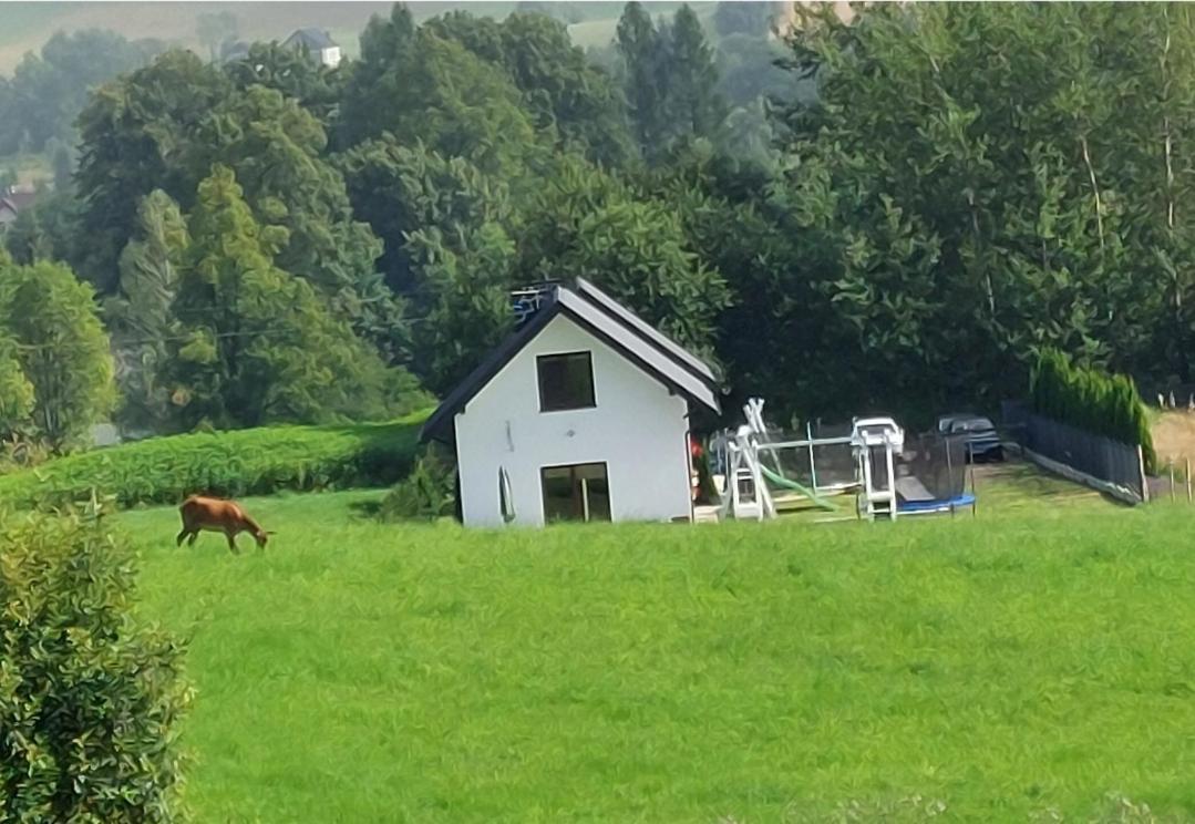 Domek Pod Holica 2 Bieszczady Ustrzyki Dolne Exterior foto